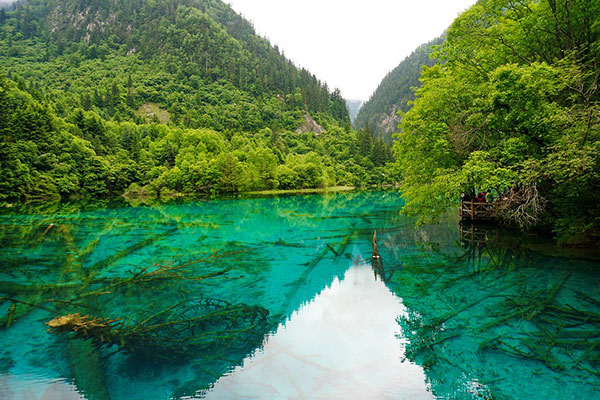 九寨沟红叶